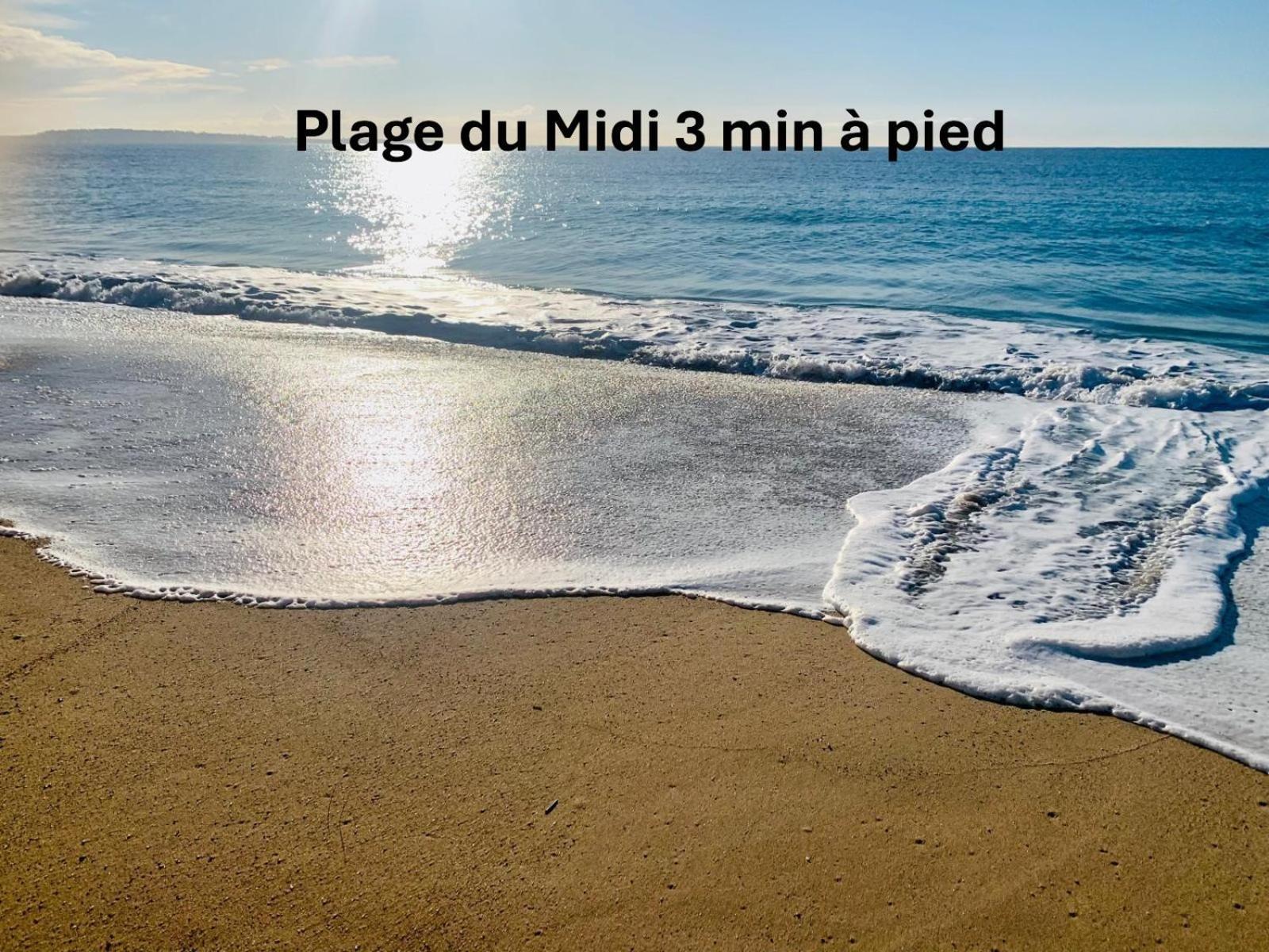 Apartamento Agreable 2 Pieces Avec Piscine A1b235 Cannes
